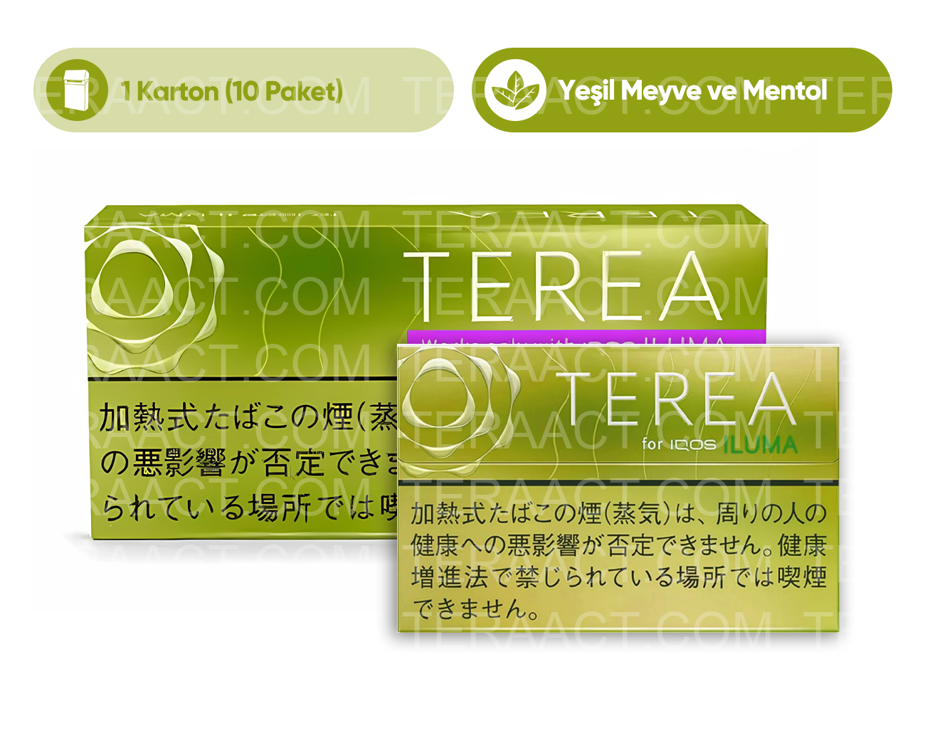 TEREA Bright Menthol