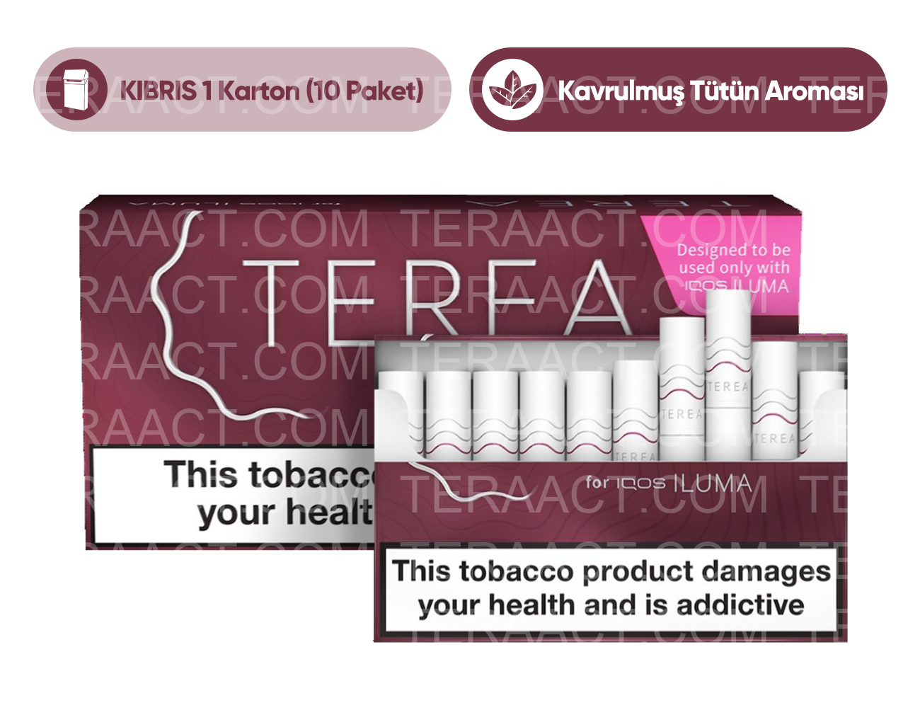 TEREA Russet (KIBRIS)
